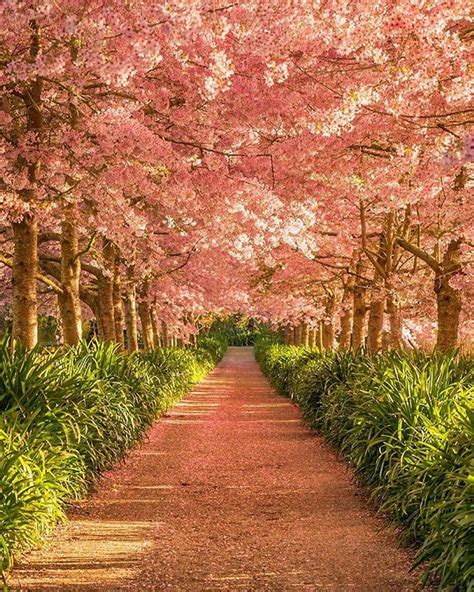 Mesmerizing Nature On Instagram Do You Love Spring Or Not Choose