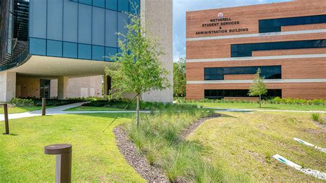 Allow us to personalize a pest management service to you. Daytona State College - VerdeGo