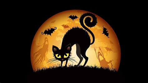 Happy Halloween Cats Hd Wallpaper Pxfuel