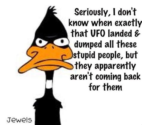 Funny Quotes About Ducks Quotesgram