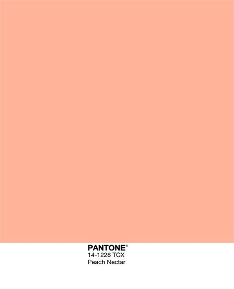 Pantone Peach Beige Kleur Inspiratie Kleurenpalet Kleurenpaletten Images