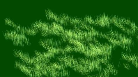 Full Hd Green Screen Grass Effects Free Youtube