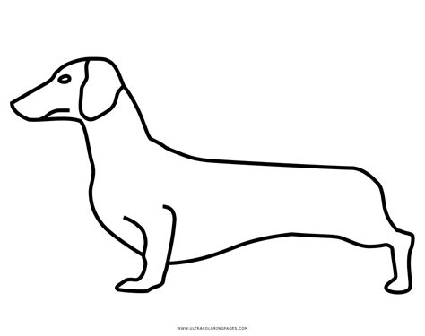 Dachshund Cartoon Coloring Page