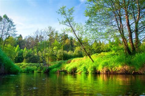 Summer Background Scenic Green Nature On River Scenery Riverside