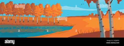 Panoramic Landscape Autumn Birch Grove And Blue Lake Vector