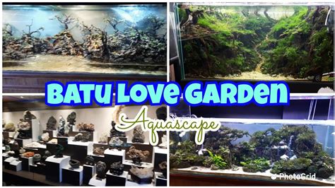 Batu Love Garden Baloga Part 7 Aquascape Youtube