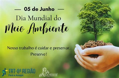 5 De Junho Dia Mundial Do Meio Ambiente Portal Do Trt Da Oitava