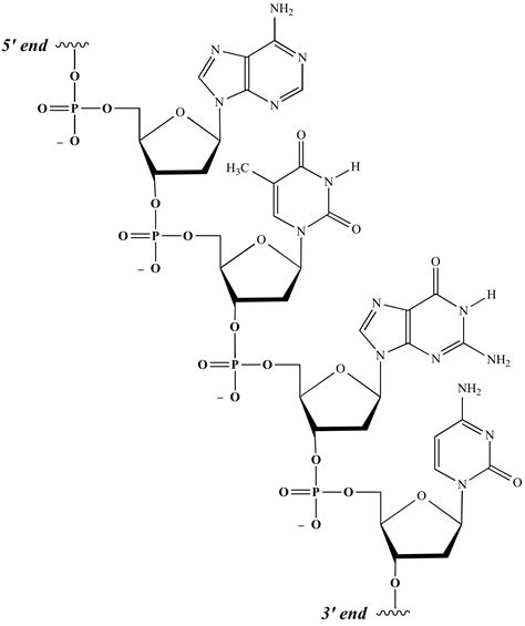 Illustrated Glossary Of Organic Chemistry Nucleotide