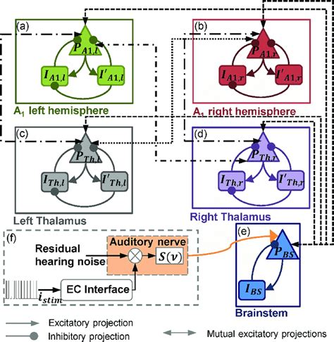 Architecture Of The Neural Mass Model A Left Cortical Module B