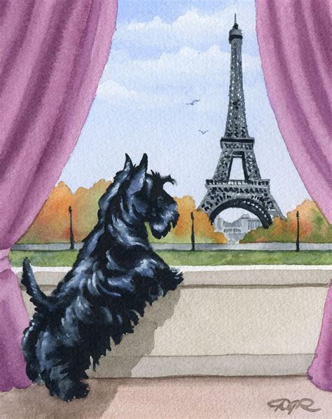 Scottish Terrier In Paris Dog Art Print Signed By By K9artgallery 12