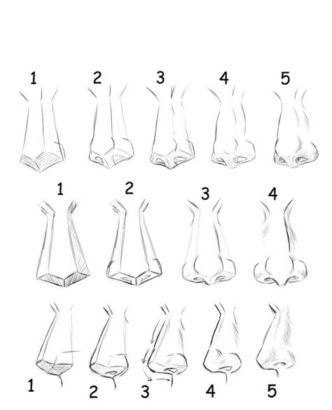 How To Draw A Female Nose Online Drawing Lessons