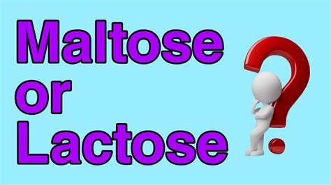 How To Distinguish Maltose And Lactose Identification Of Maltose