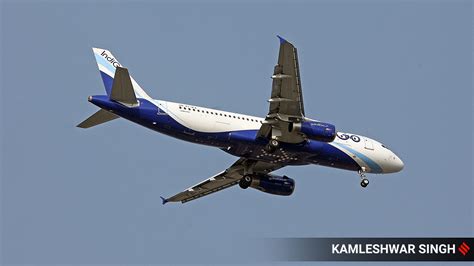 Indigo Becomes First Indian Airline To Touch 100 Million Passengers In