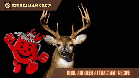 The 1 Kool Aid Deer Attractant Recipe That Has Fantastic Results
