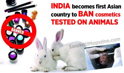 Top 191 Is Animal Testing Illegal
