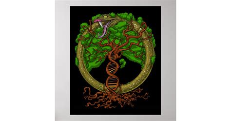 Ouroboros Snake Tree Of Life Poster Zazzle