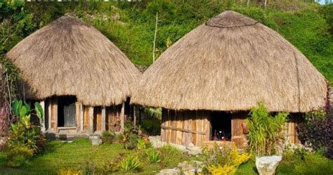 Masyarakat lokal mengenal rumah ini sebagai rumah bujang. Rumah Adat Suku Papua Rumah Honai - Mediasiana.com