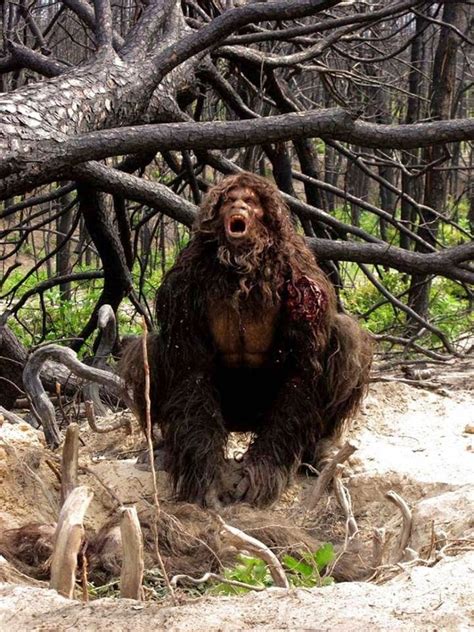 Bigfoot Evidence Check Out These Eerie Bigfoot Howls From Ohio