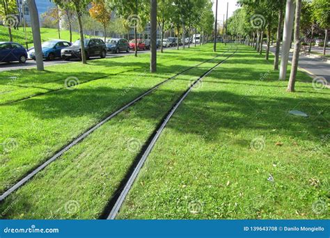 Green Tram Editorial Stock Photo Image Of Green Trees 139643708