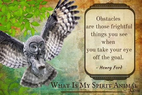 Owl Quotes & Sayings | Animal Quotes & Sayings
