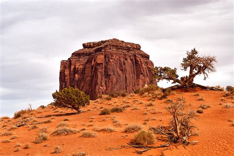 Butte Monument Valley Photograph By Peter Tellone Fine Art America