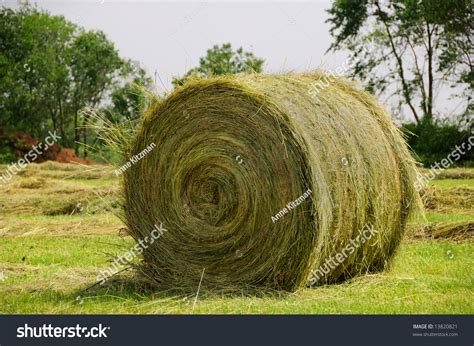 Hay Bale Drying Field Harvest Time Stock Photo 13820821 Shutterstock
