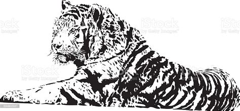Tiger Vector Stock Illustration Download Image Now Istock