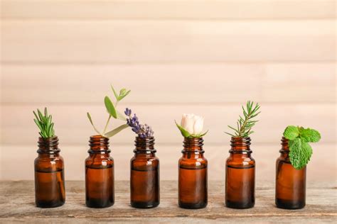 Are Essential Oils For Vertigo Treatment Effective Align Wellness Center