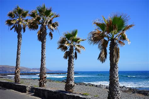 Playa de las Americas Tourist Information & Travel Guide - Tenerife ...