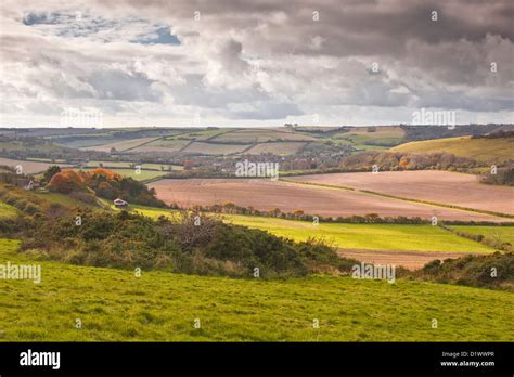 Dorset Countryside Near To Cerne Abbas Stock Photo Alamy