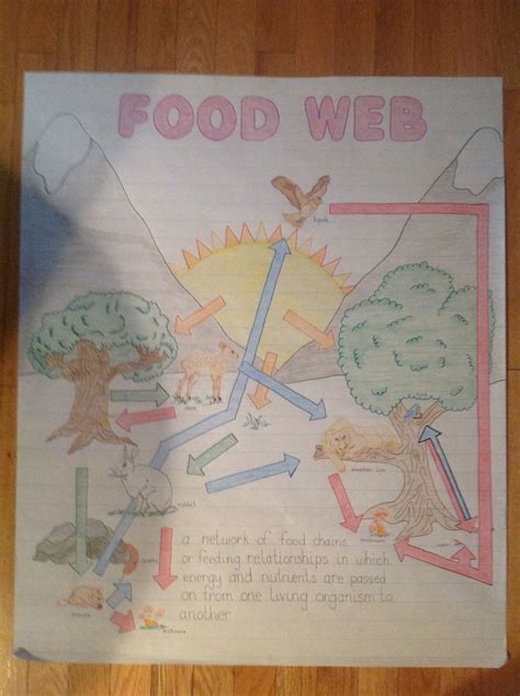 Food Web Anchor Chart Science Experiments Kids Teaching Science Chart