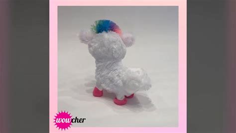Must Have Twerking Llama Toy On Sale At Wowcher For Ridiculously Cheap