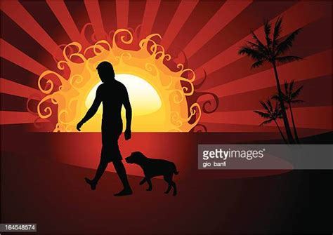 Man Walking Dog Night Photos And Premium High Res Pictures Getty Images