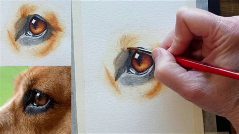 Video Thumbnail Learn To Paint Art How Dog Eyes