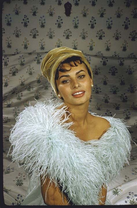 Красавицы и стиль София Лорен Sophia Loren Sophia Loren Images Sofia Loren