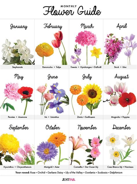 Birth Flowers By Month
