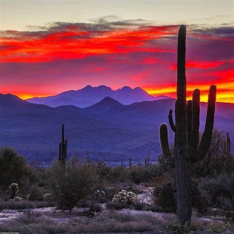 Tucson Arizona Landscape Arizona Sunset Desert Sunset