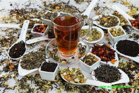 5 Of The Healthiest Teas To Drink The Frisky