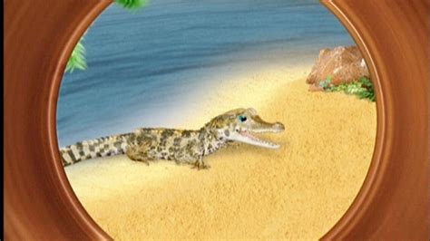 Watch The Wonder Pets E Kids Show Episode 152 Save The Crocodile