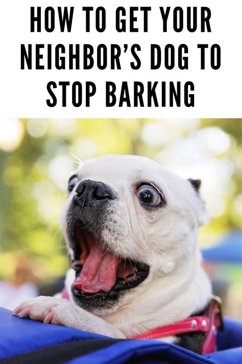 How To Get Your Neighbors Dog To Stop Barking In 2021 Dogs Calm