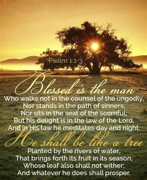 Blessed Scripture Pictures Psalms Scripture