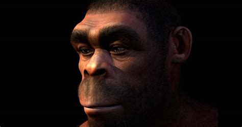 Homo Erectus Why Did The Most Successful Early Human Go Extinct