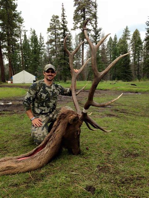 Arizona Elk Hunting Unit 1