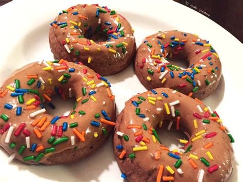 Healthy Protein Donuts Dr Sara Solomon