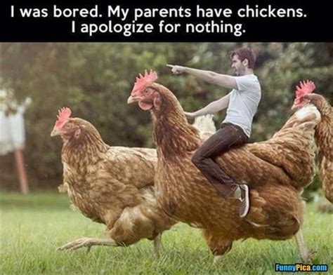 Chicken Challenge Post As Many Chicken Memes Before October Backyard Chickens Learn How To