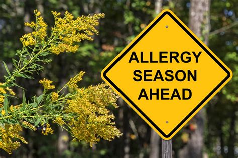 5 Ways You Can Prepare For Fall Allergies