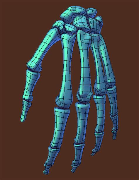 Human Skeleton 3d Hand Bones Rigged Blender Market