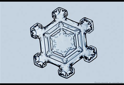 Snowflake Structure By Framedbynature On Deviantart