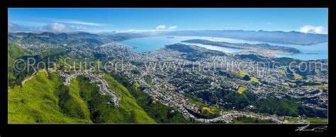 Wellington City Aerial View Panorama Karori Sanctuary Zealandia Left