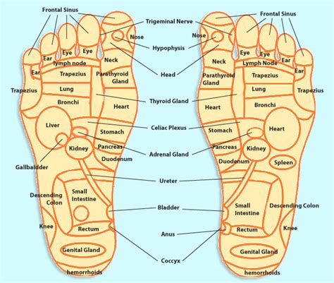 Diagram For Foot Massage Diagram
